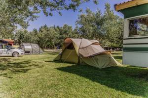 Family tent camping plot